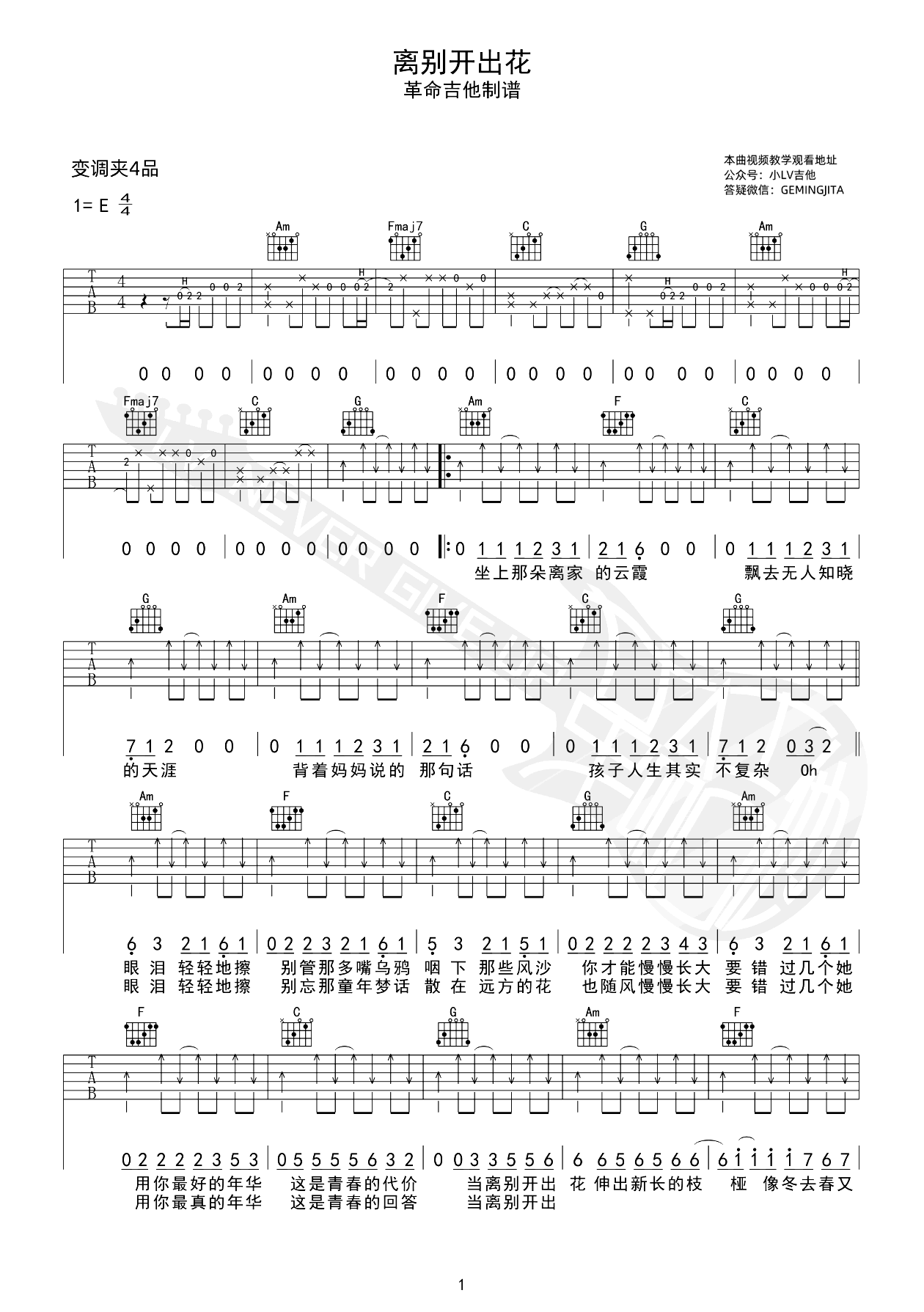 离别开出花吉他谱-就是南方凯-吉他弹唱教学