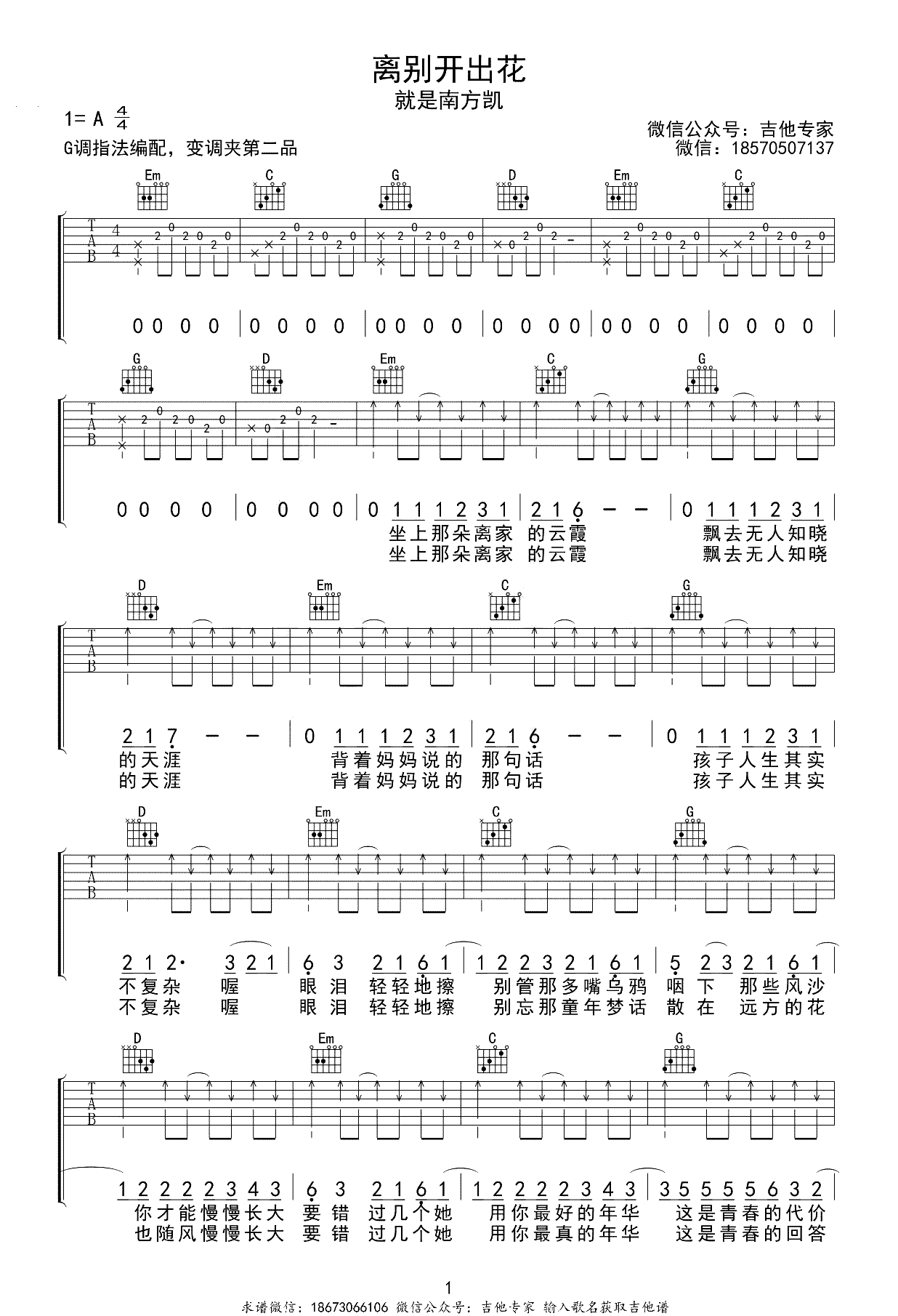 离别开出花吉他谱-就是南方凯-G调指法