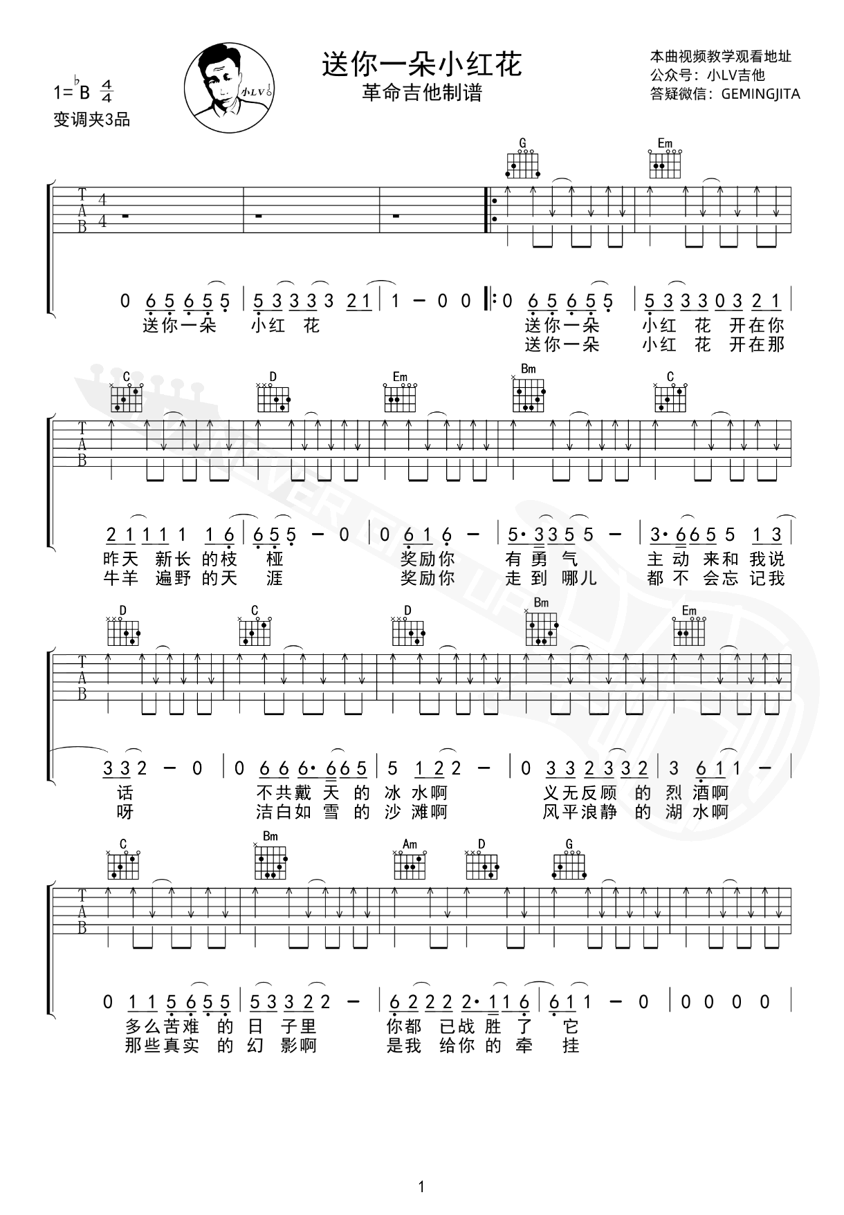 送你一朵小红花吉他谱-赵英俊-吉他教学视频