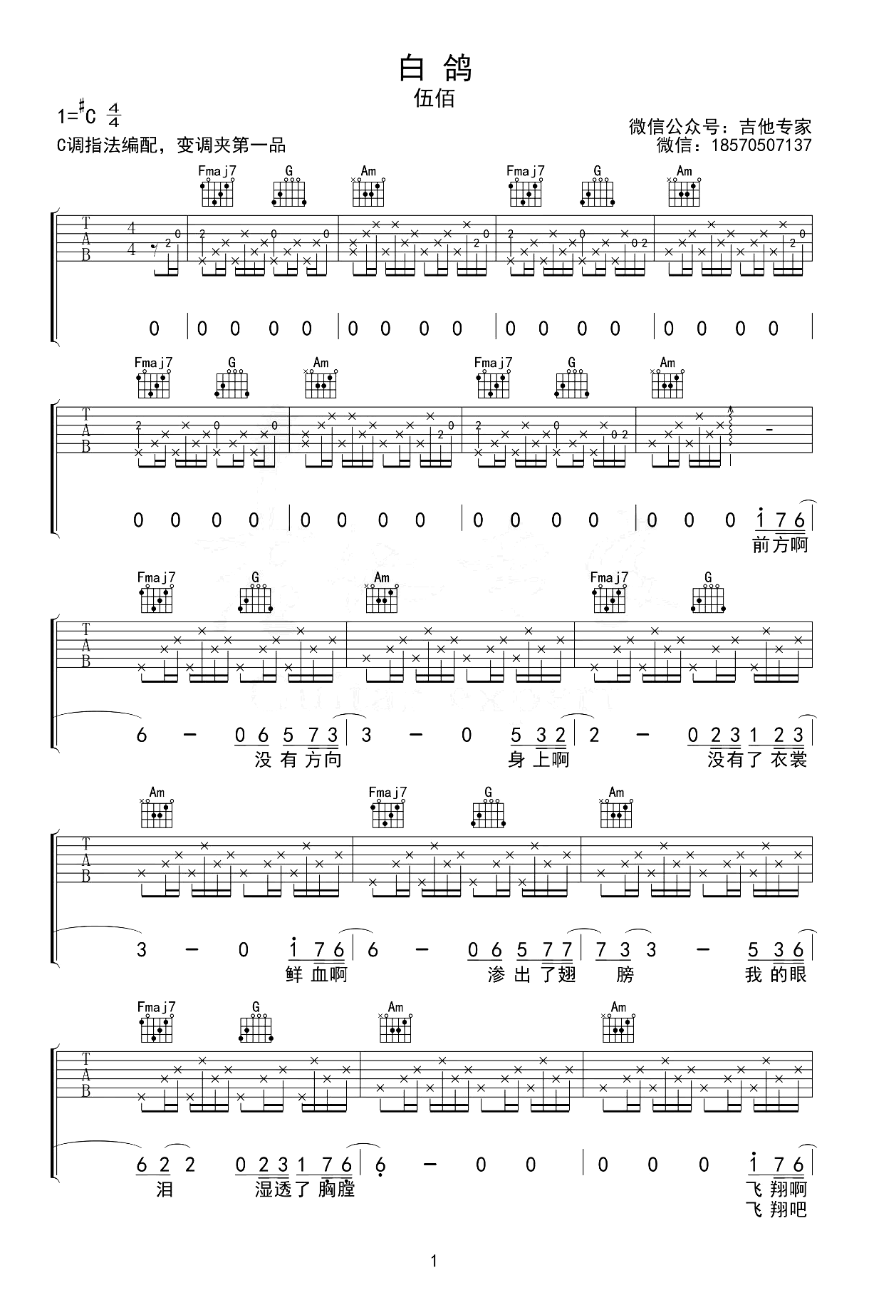 白鸽吉他谱-伍佰-吉他弹唱谱