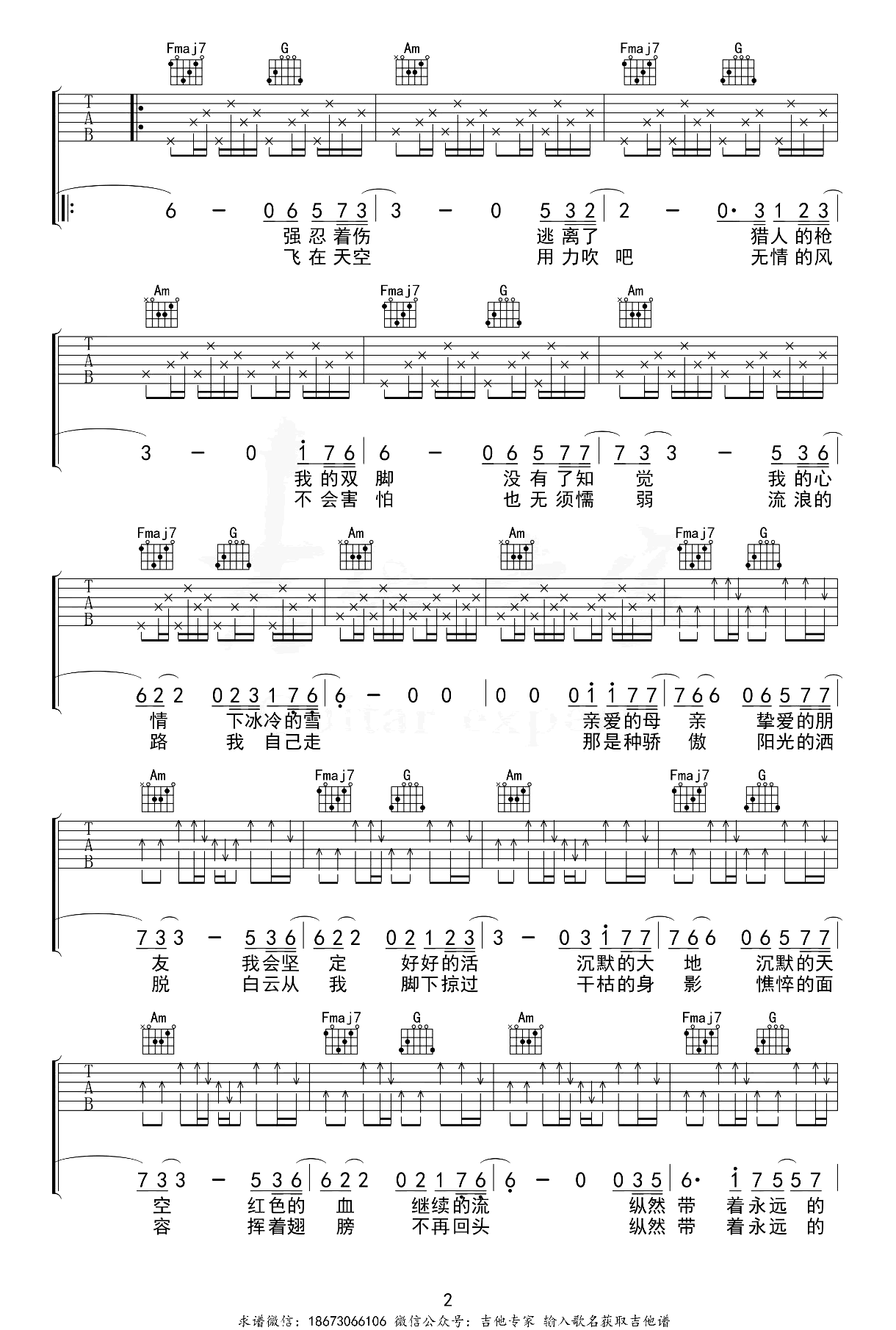 白鸽吉他谱-伍佰-弹唱六线谱