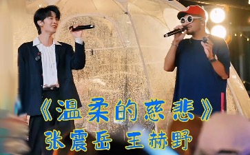 温柔的慈悲吉他谱_张震岳_G调弹唱谱_完整版